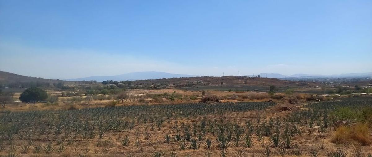 Foto de terreno habitacional en venta en san nicolas , colinas de tonalá, tonalá, jalisco, 26450571 No. 04