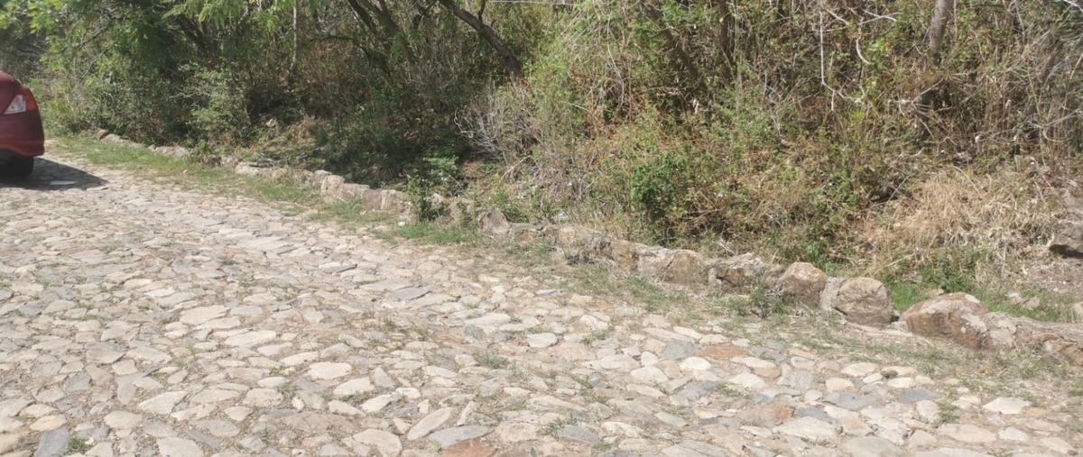 Foto de terreno habitacional en venta en  , san nicolás de ibarra, chapala, jalisco, 26830051 No. 04
