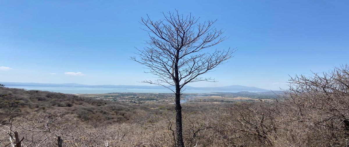 Foto de terreno habitacional en venta en  , san nicolás de ibarra, chapala, jalisco, 27962903 No. 03