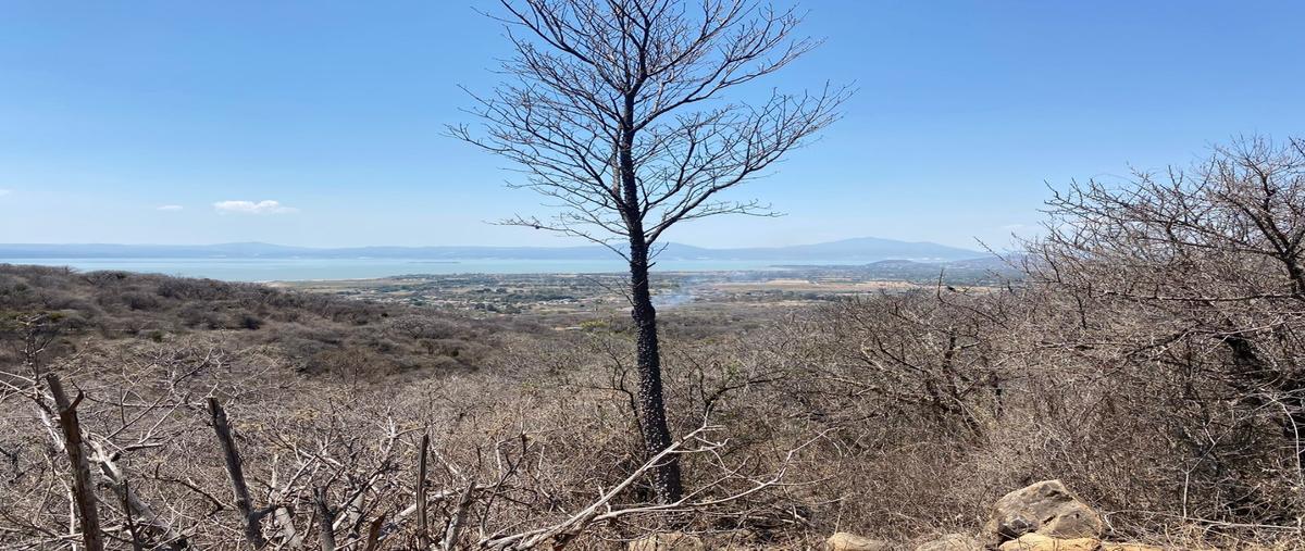 Foto de terreno habitacional en venta en  , san nicolás de ibarra, chapala, jalisco, 27962903 No. 04