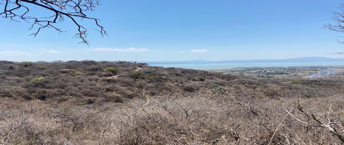 Foto de terreno habitacional en venta en  , san nicolás de ibarra, chapala, jalisco, 27962903 No. 05