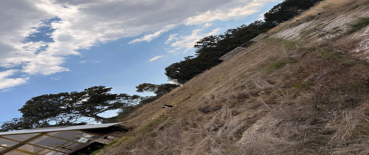 Foto de terreno habitacional en venta en  , san nicolás de la torre, amealco de bonfil, querétaro, 0 No. 05