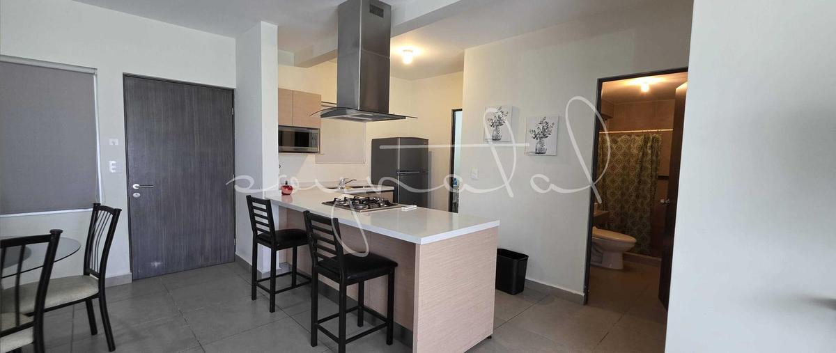 Foto de departamento en renta en  , san nicolás de los garza centro, san nicolás de los garza, nuevo león, 0 No. 05
