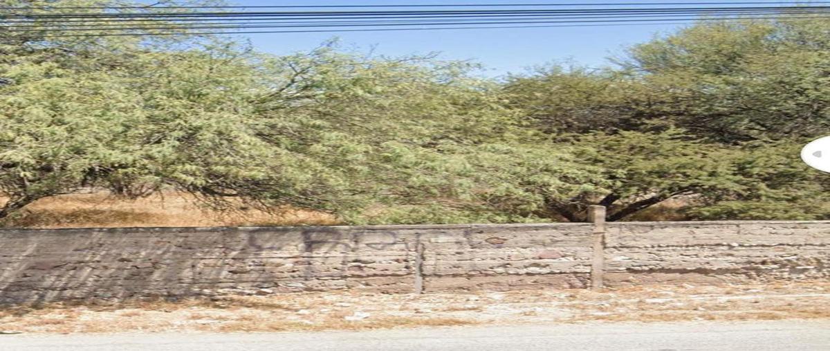 Foto de terreno habitacional en venta en  , san nicolás de los jassos, san luis potosí, san luis potosí, 30282796 No. 05