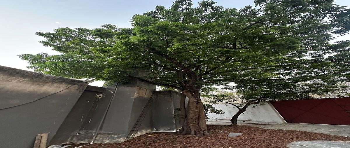 Foto de casa en venta en  , san nicolás del norte, mérida, yucatán, 0 No. 04