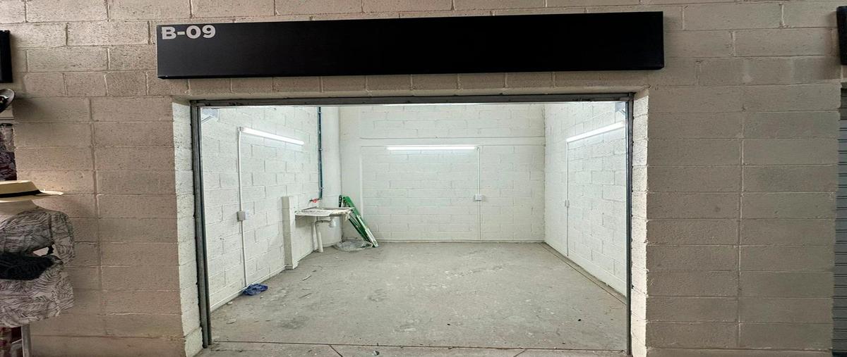 Foto de local en venta en  , san nicolás del palote ii, león, guanajuato, 28102670 No. 04
