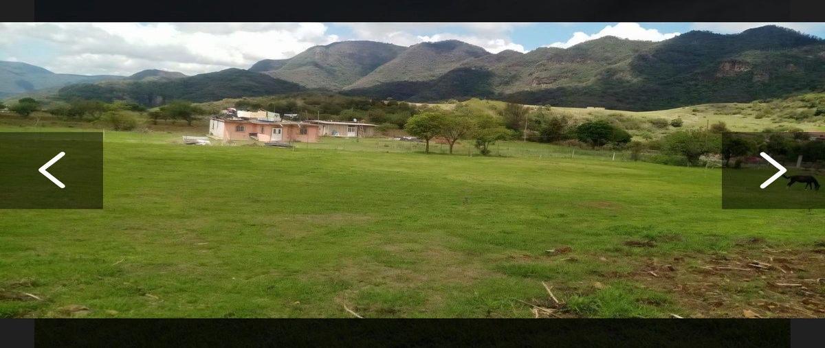 Foto de terreno habitacional en venta en  , san nicolás, malinalco, méxico, 0 No. 03