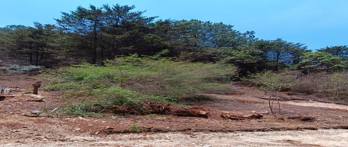 Foto de terreno habitacional en venta en  , san nicolás, san cristóbal de las casas, chiapas, 28282228 No. 04