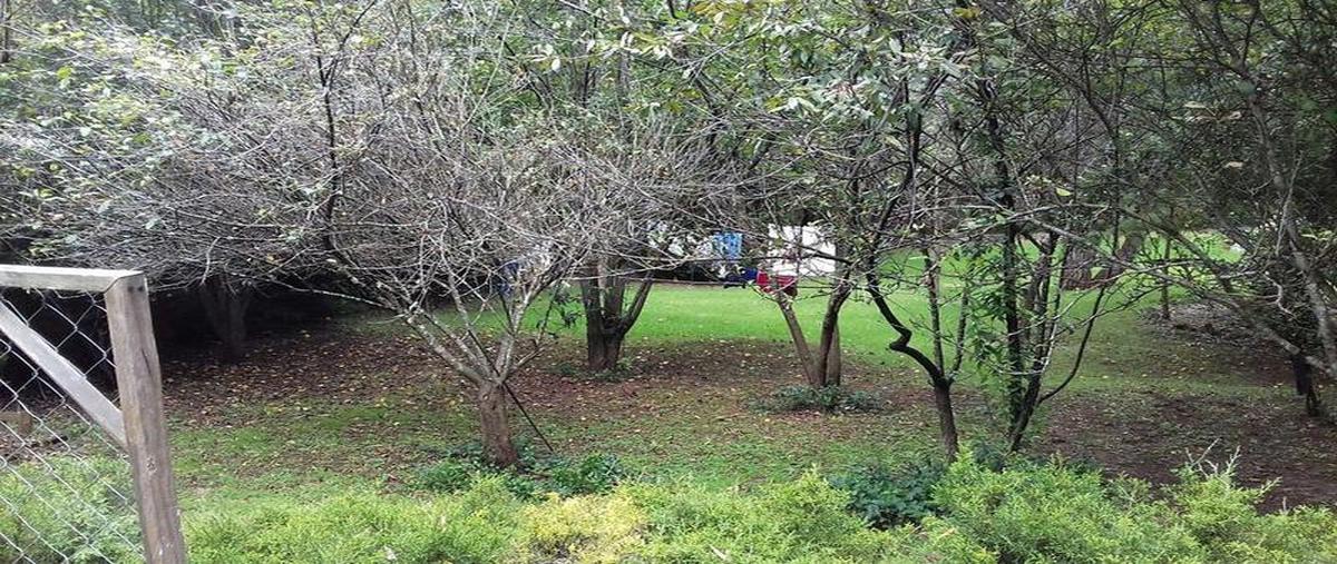 Foto de terreno comercial en venta en  , san nicolás, san cristóbal de las casas, chiapas, 30303187 No. 03