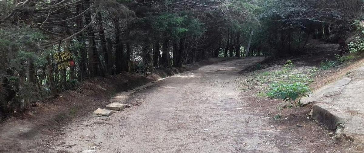 Foto de terreno comercial en venta en  , san nicolás, san cristóbal de las casas, chiapas, 30303187 No. 04