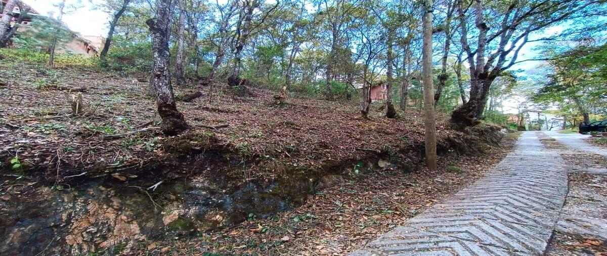 Foto de terreno habitacional en venta en  , san nicolás, san cristóbal de las casas, chiapas, 30557552 No. 03