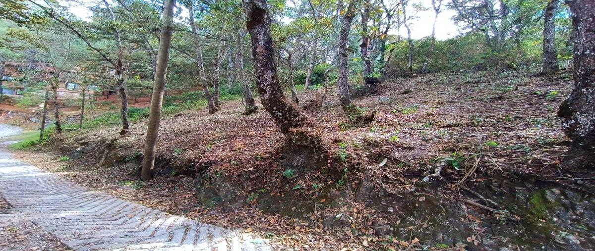 Foto de terreno habitacional en venta en  , san nicolás, san cristóbal de las casas, chiapas, 30557552 No. 04