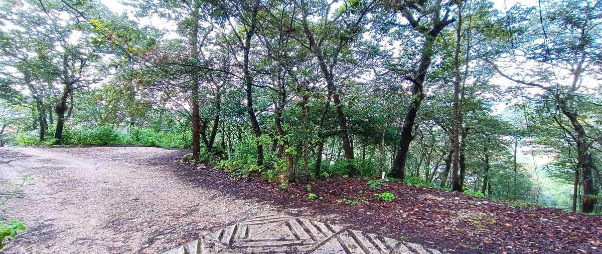 Foto de terreno habitacional en venta en  , san nicolás, san cristóbal de las casas, chiapas, 30557552 No. 05