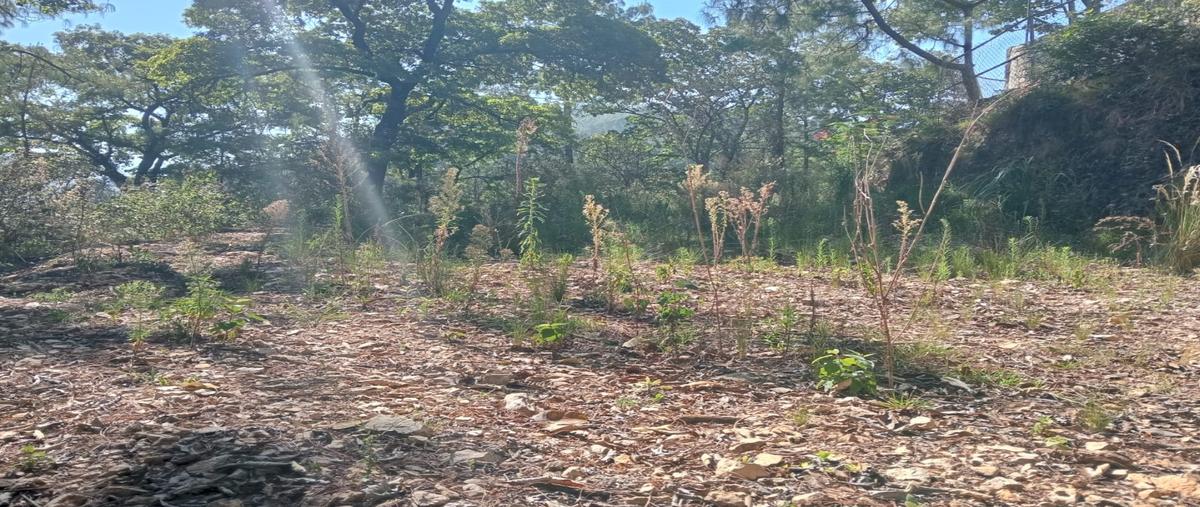 Foto de terreno habitacional en venta en  , san nicolás, san cristóbal de las casas, chiapas, 0 No. 03