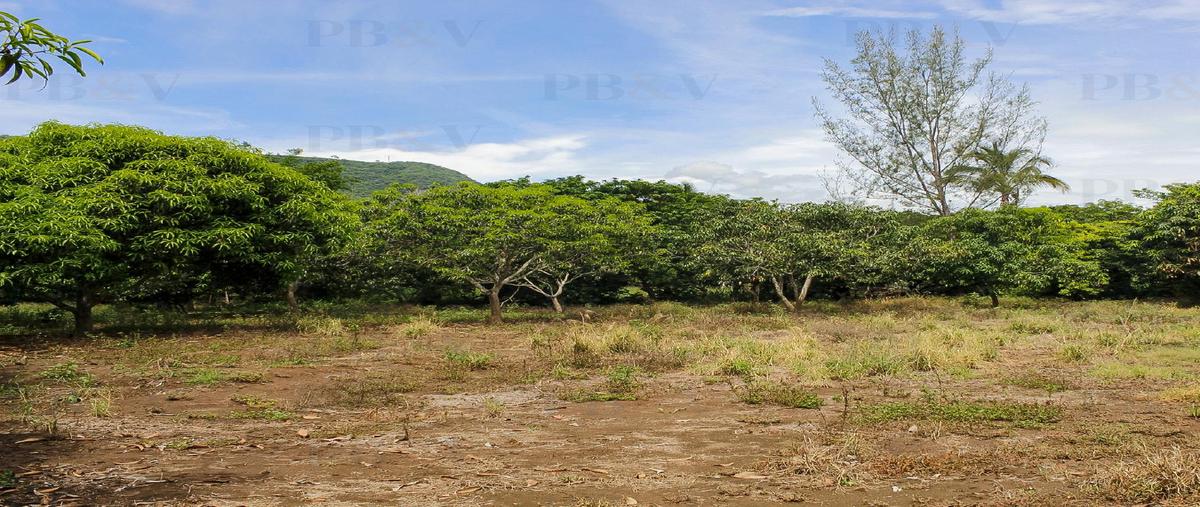 Foto de terreno habitacional en , san nicolás (san nicolás de tolentino), actopan, veracruz de ignacio de la llave, 27754081 foto 02 Foto de terreno habitacional en venta en , san nicolás (san nicolás de tolentino), actopan, veracruz de ignacio de la llave, 27754081 No. 02