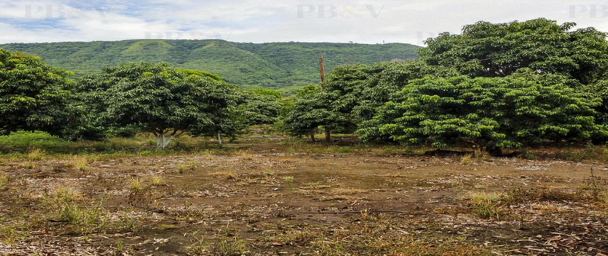 Foto de terreno habitacional en venta en  , san nicolás (san nicolás de tolentino), actopan, veracruz de ignacio de la llave, 27754082 No. 03