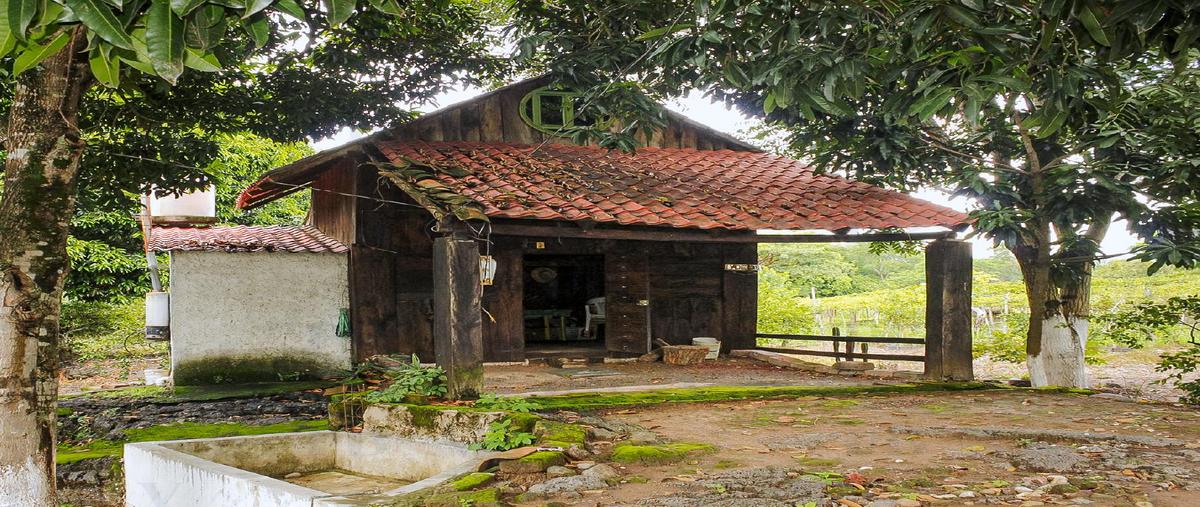 Foto de terreno habitacional en venta en  , san nicolás (san nicolás de tolentino), actopan, veracruz de ignacio de la llave, 27754082 No. 05