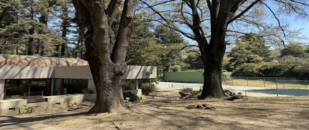 Foto de terreno comercial en venta en  , san nicolás tlazala, capulhuac, méxico, 27566687 No. 04