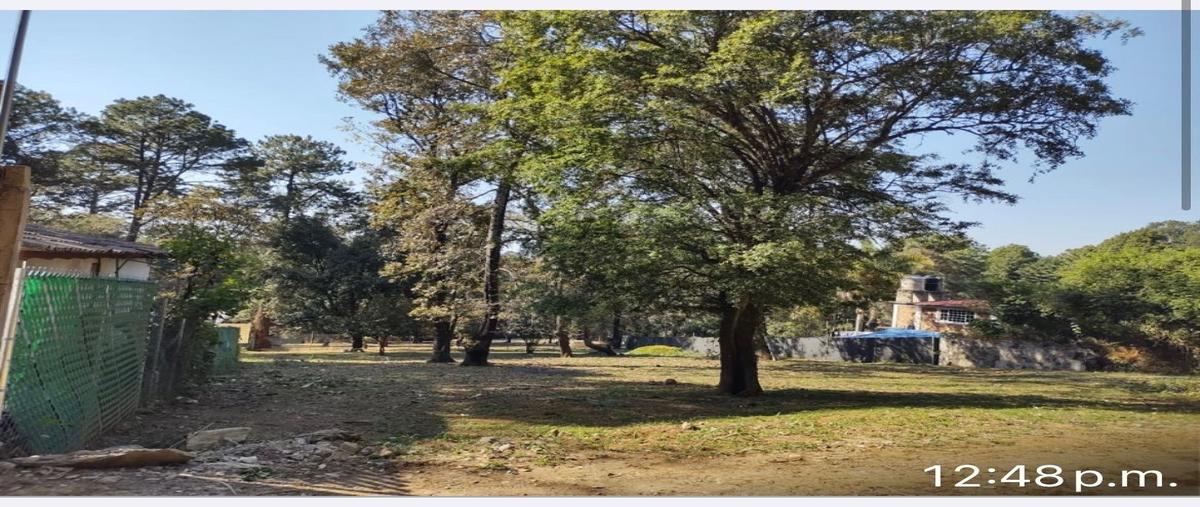 Foto de terreno habitacional en venta en  , san nicolás tolentino, valle de bravo, méxico, 29051225 No. 03