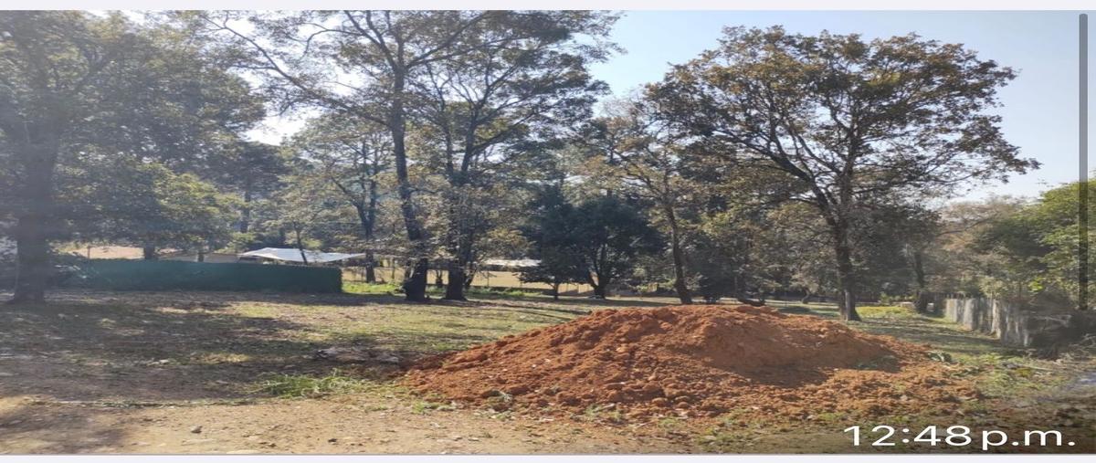 Foto de terreno habitacional en venta en  , san nicolás tolentino, valle de bravo, méxico, 29051225 No. 05