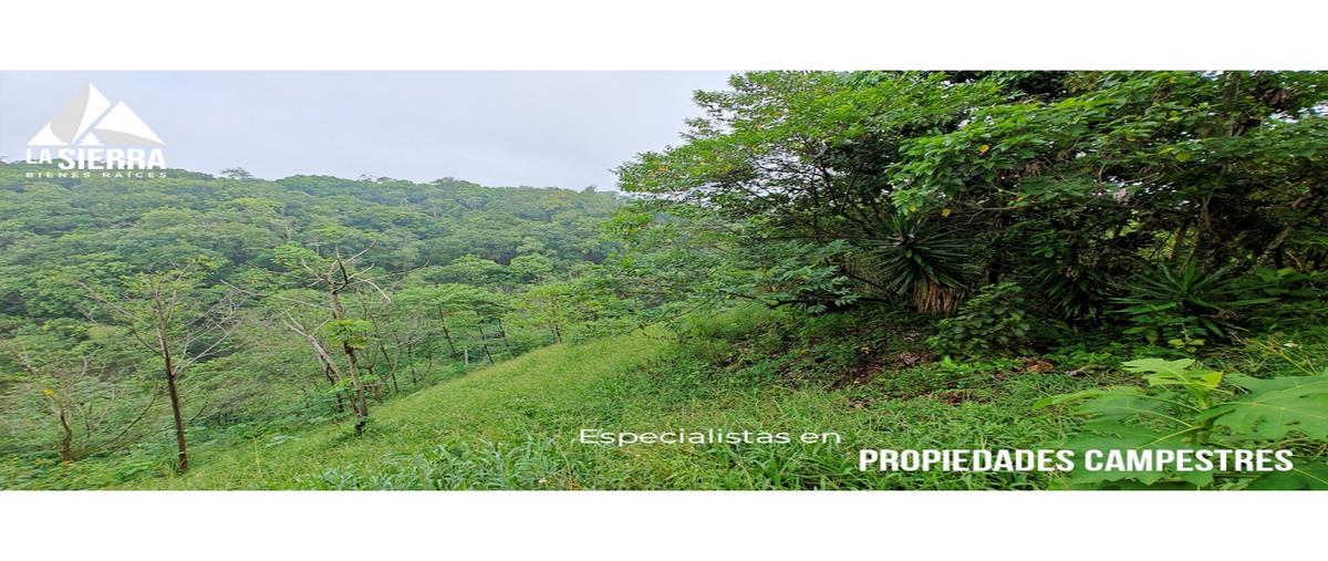 Foto de rancho en venta en  , san nicolás, zihuateutla, puebla, 0 No. 05