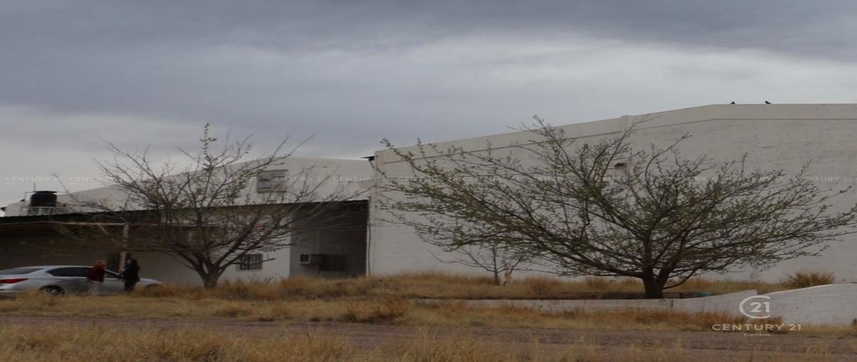 Foto de terreno habitacional en renta en  , san pablo, chihuahua, chihuahua, 25545339 No. 03