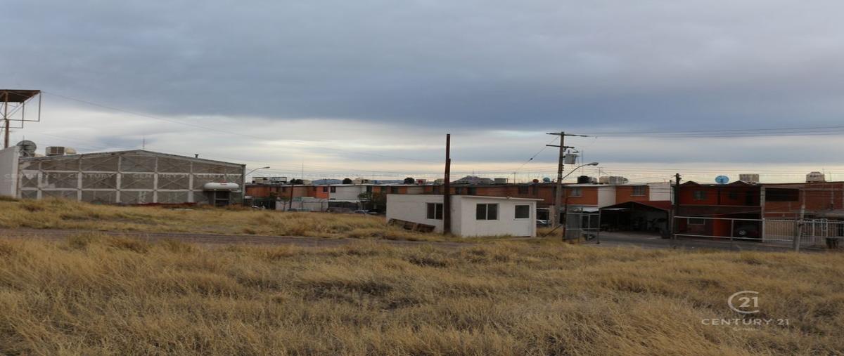 Foto de terreno habitacional en renta en  , san pablo, chihuahua, chihuahua, 25545339 No. 04