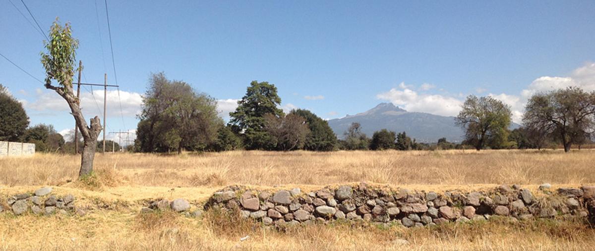 Foto de terreno habitacional en renta en , , san pablo del monte, tlaxcala , cristo, san pablo del monte, tlaxcala, 8873147 No. 02