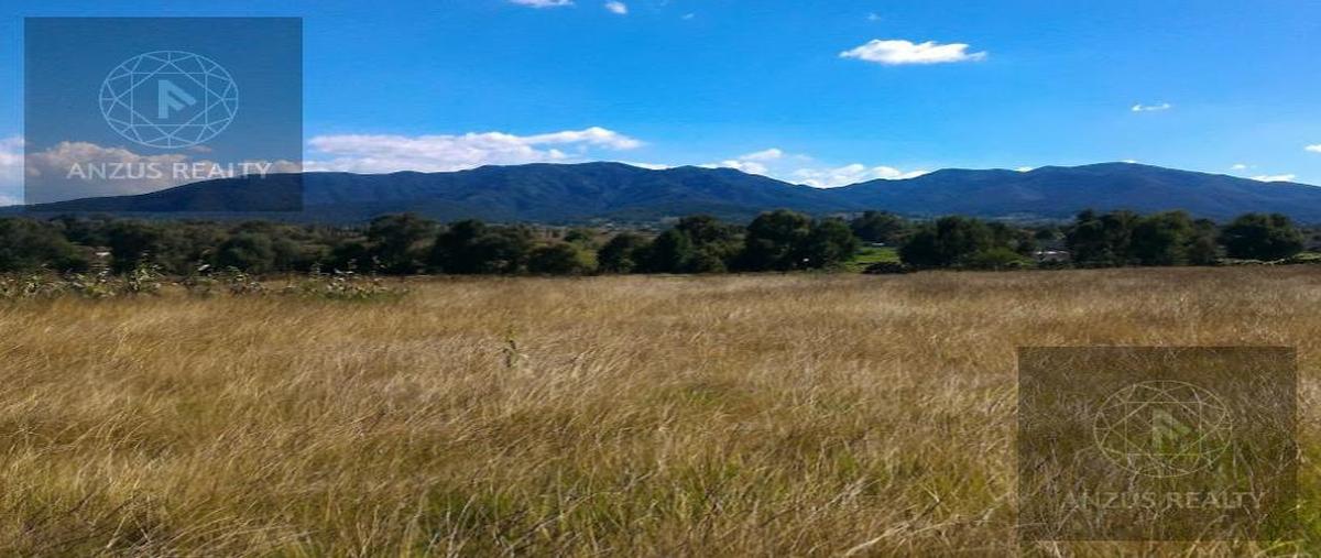 Foto de terreno habitacional en venta en  , san pablo huantepec, jilotepec, méxico, 30871529 No. 03