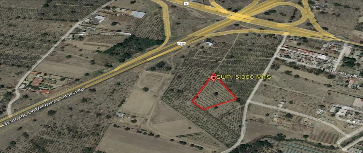 Foto de terreno habitacional en venta en  , san pablo ixquitlan, san martín de las pirámides, méxico, 0 No. 03