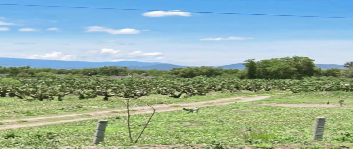 Foto de terreno habitacional en venta en  , san pablo ixquitlan, san martín de las pirámides, méxico, 29123665 No. 04