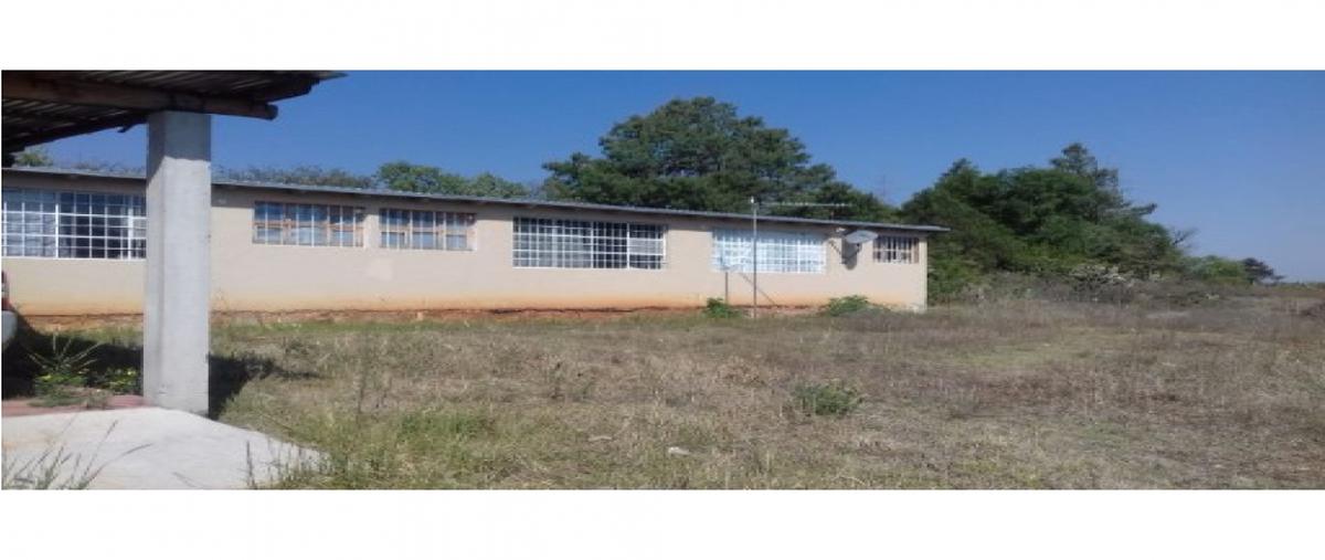 Foto de terreno habitacional en venta en  , san pablo ojo de agua, huasca de ocampo, hidalgo, 25919742 No. 05