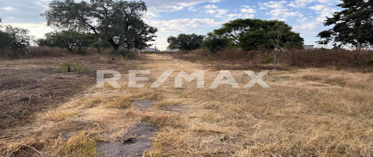 Foto de terreno habitacional en venta en san pablo tecalco , san mateo tecalco, tecámac, méxico, 28978279 No. 04