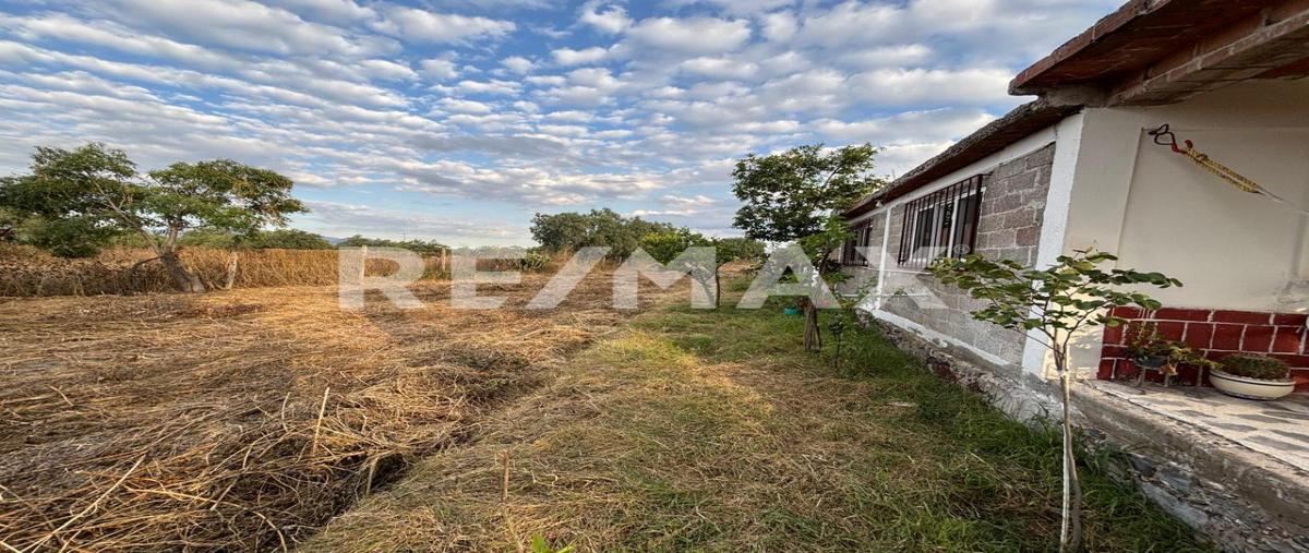 Foto de terreno habitacional en venta en san pablo tecalco , san mateo tecalco, tecámac, méxico, 28978279 No. 05