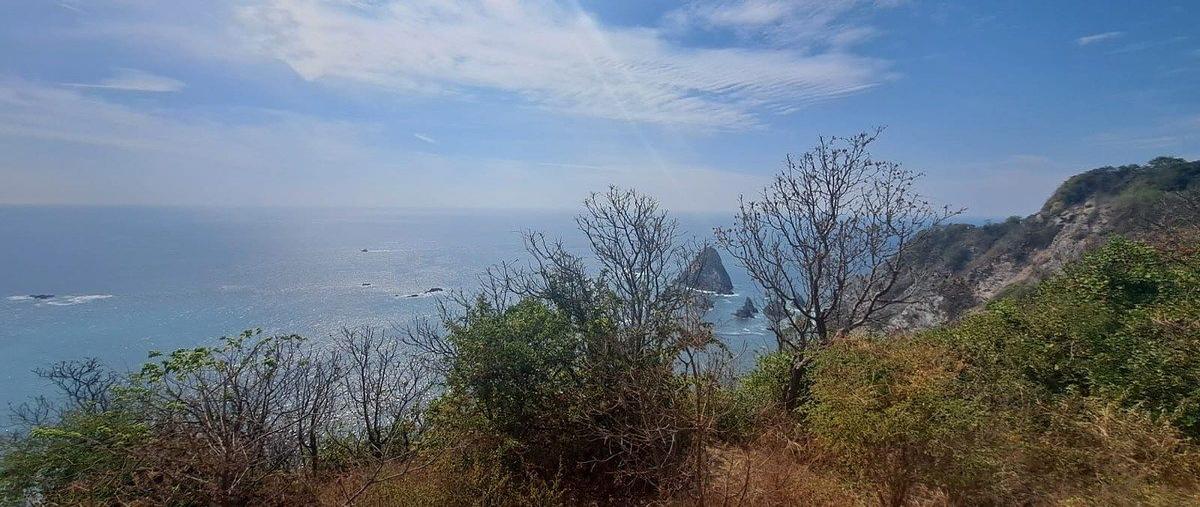 Foto de terreno habitacional en venta en  , san patricio o melaque, cihuatlán, jalisco, 31051775 No. 06