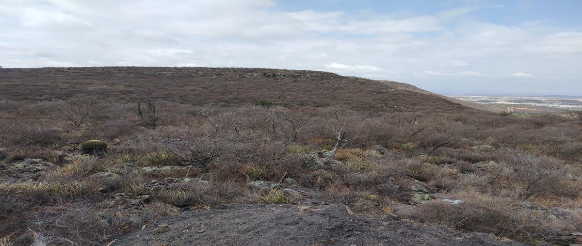 Foto de terreno habitacional en venta en san pedrito el alto/san jose el alto , san pedrito el alto (el obraje), querétaro, querétaro, 0 No. 04