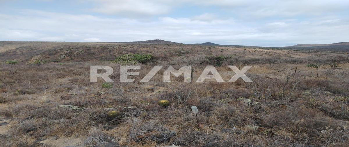 Foto de terreno habitacional en venta en san pedrito , san pedrito el alto (el obraje), querétaro, querétaro, 0 No. 04