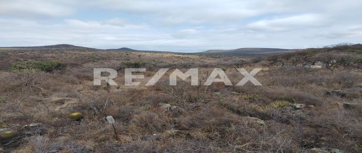 Foto de terreno habitacional en venta en san pedrito , san pedrito el alto (el obraje), querétaro, querétaro, 0 No. 05