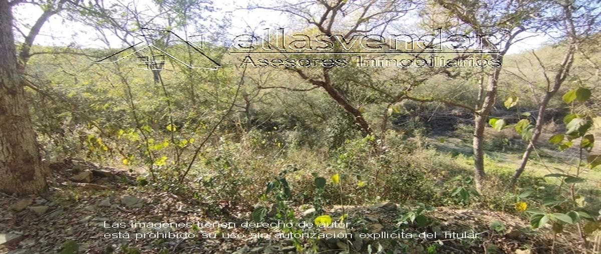 Foto de terreno habitacional en venta en san pedro 0, campestre santiago, santiago, nuevo león, 0 No. 05