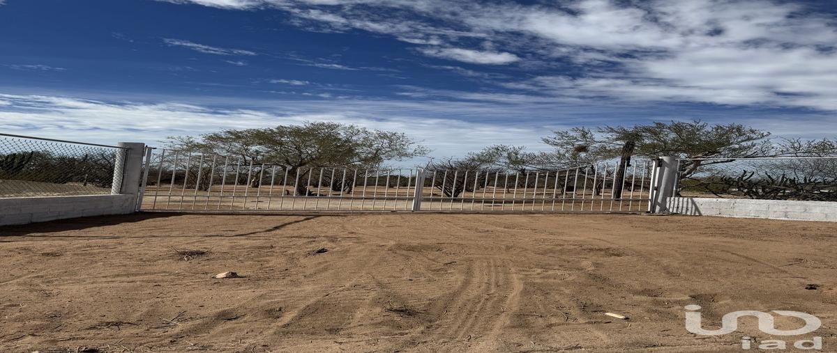 Foto de terreno habitacional en venta en san pedro 93, bella vista plus, la paz, baja california sur, 30513458 No. 04