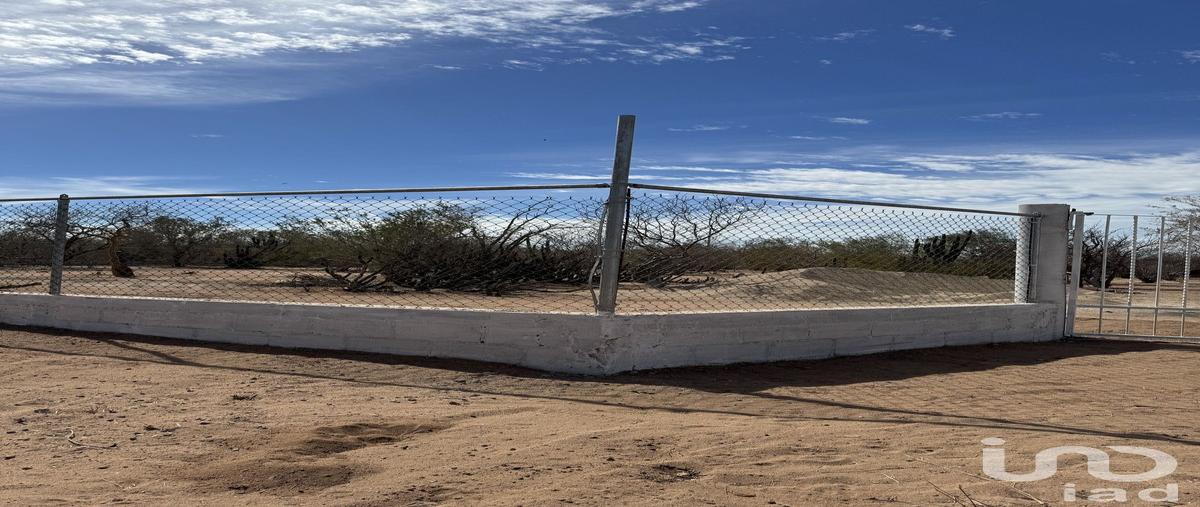 Foto de terreno habitacional en venta en san pedro 93, bella vista plus, la paz, baja california sur, 30513458 No. 05