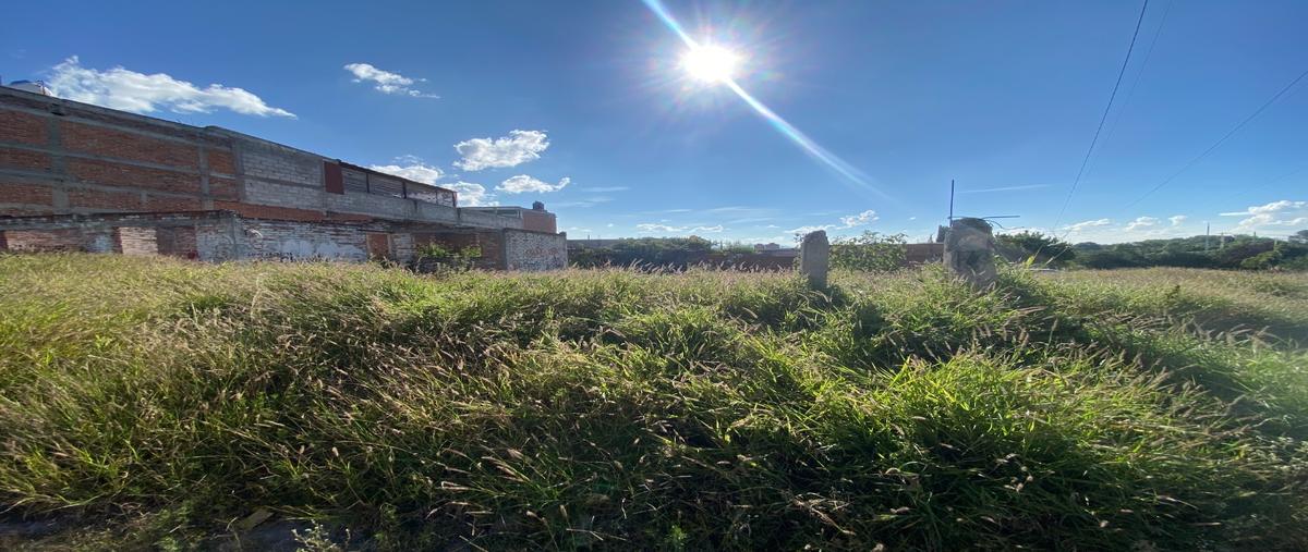 Foto de terreno habitacional en venta en  , san pedro ahuacatlan, san juan del río, querétaro, 0 No. 03