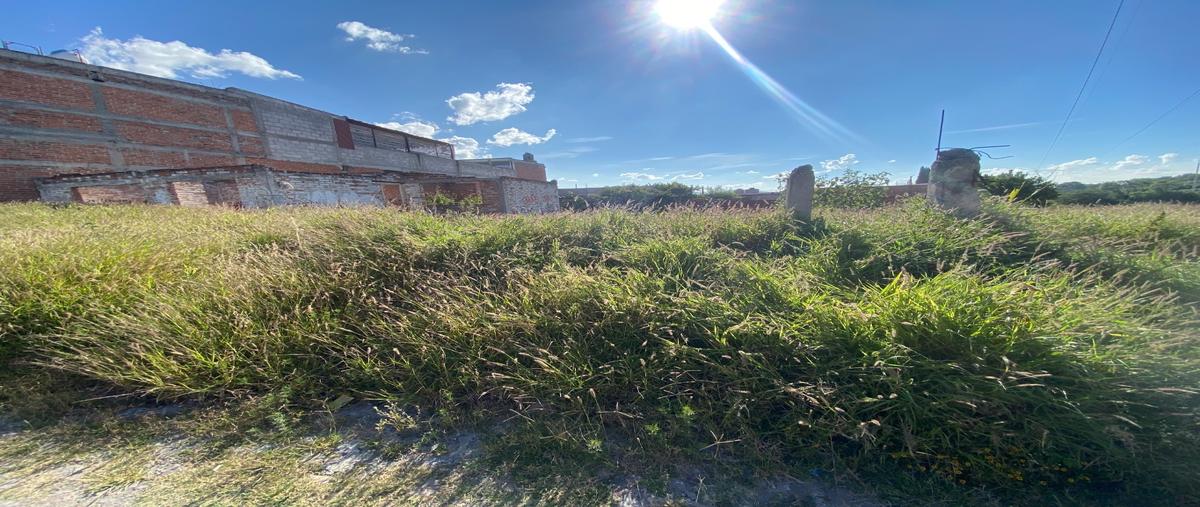 Foto de terreno habitacional en venta en  , san pedro ahuacatlan, san juan del río, querétaro, 0 No. 04