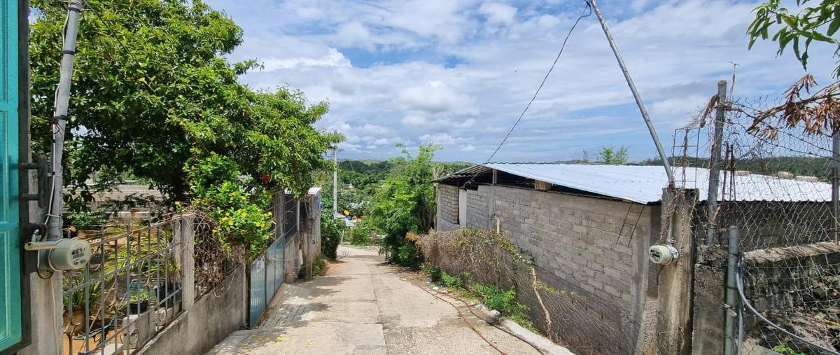 Foto de terreno habitacional en venta en  , san pedro cacahuatepec, acapulco de juárez, guerrero, 0 No. 03