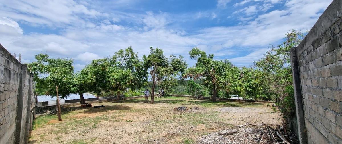 Foto de terreno habitacional en venta en  , san pedro cacahuatepec, acapulco de juárez, guerrero, 0 No. 05