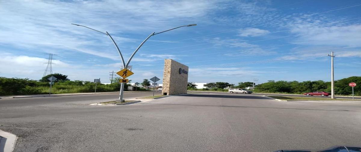 Foto de terreno habitacional en venta en  , san pedro cholul, mérida, yucatán, 31427119 No. 03