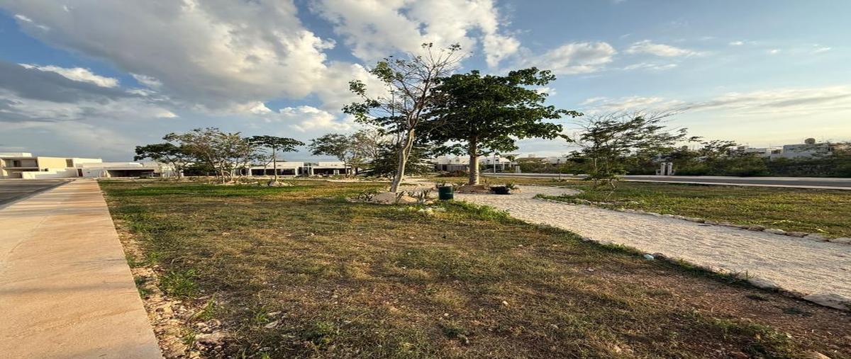 Foto de terreno habitacional en , san pedro cholul, mérida, yucatán, 31427119 foto 38 Foto de terreno habitacional en venta en , san pedro cholul, mérida, yucatán, 31427119 No. 38