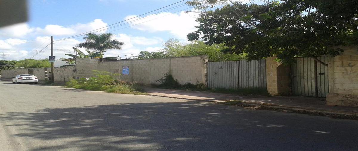 Foto de terreno habitacional en venta en  , san pedro cholul, mérida, yucatán, 6986832 No. 04