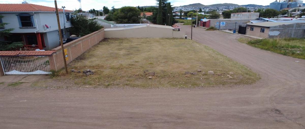 Foto de terreno habitacional en venta en  , san pedro, cuauhtémoc, chihuahua, 0 No. 04