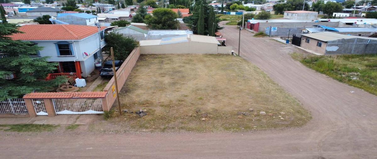 Foto de terreno habitacional en venta en  , san pedro, cuauhtémoc, chihuahua, 0 No. 05